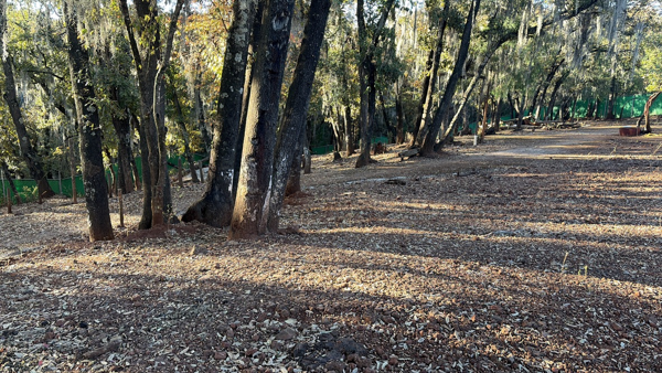 Terreno en venta en La Mora, Huasca de Ocampo — foto 3 de 6