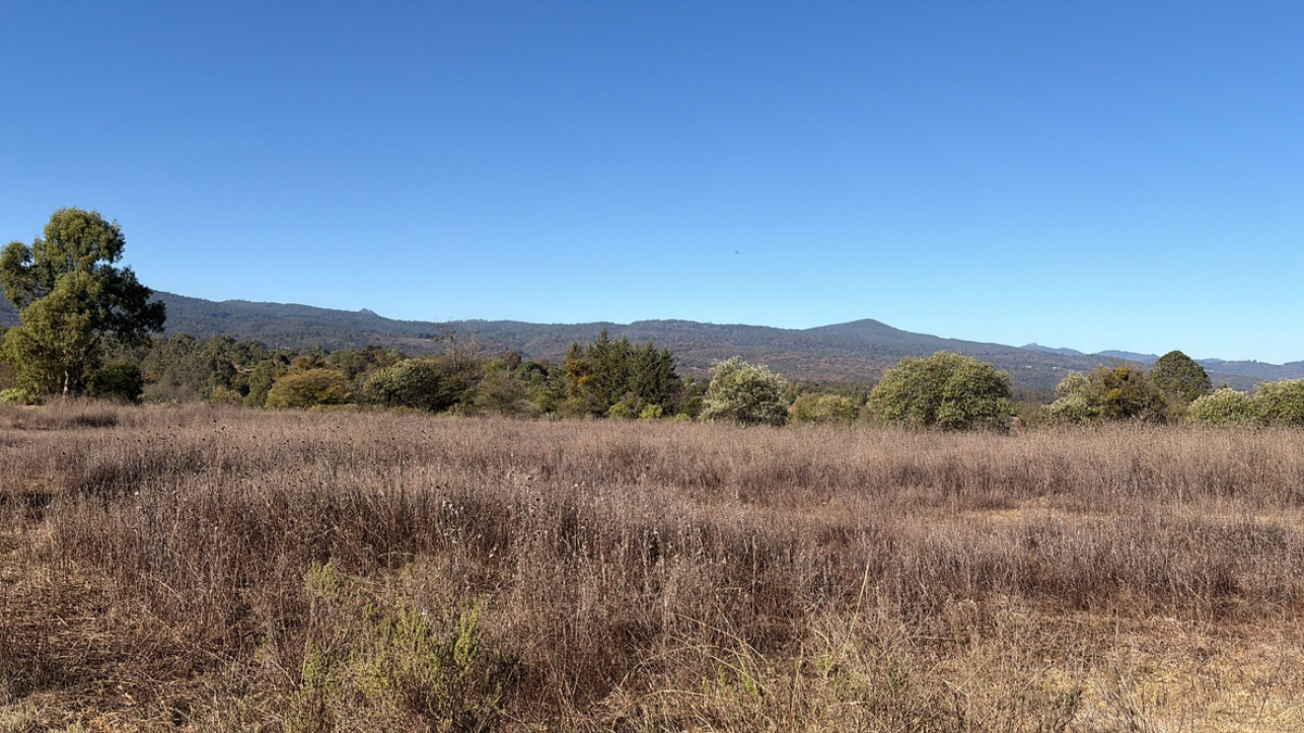 Terreno en venta en Los Reyes Tepezala, Huasca de Ocampo — foto 1 de 10