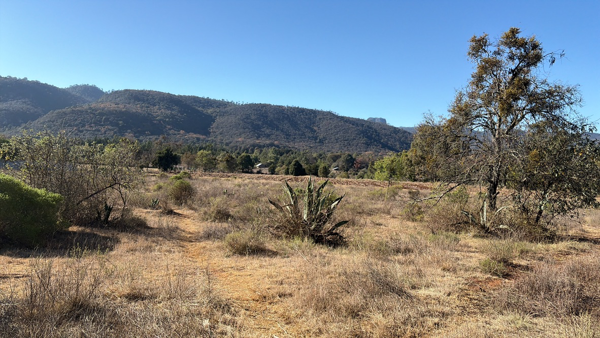 Terreno en venta en Los Reyes Tepezala, Huasca de Ocampo — foto 2 de 10