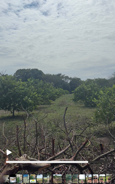 Terreno en venta en San Julian, Veracruz — foto 3 de 6