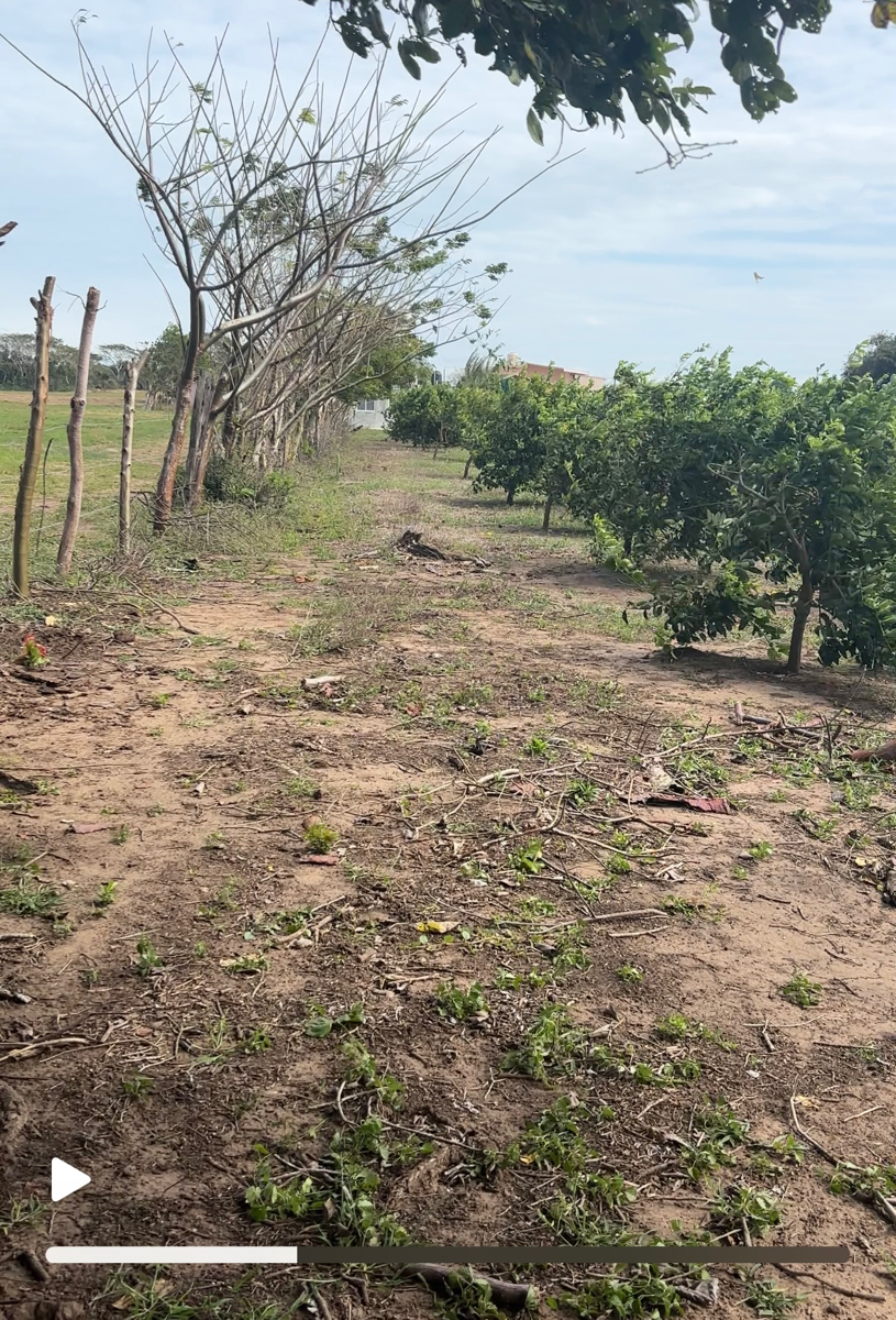 Terreno en venta en San Julian, Veracruz — foto 1 de 6