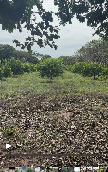 Terreno en venta en San Julian, Veracruz — foto 2 de 6