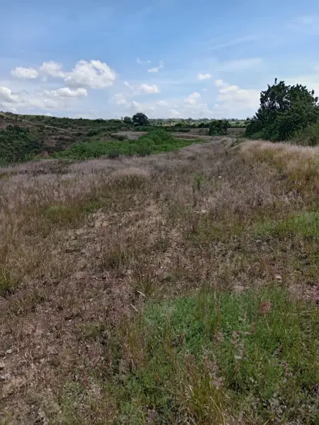 Terreno en venta en Santa Isabel Cholula, Santa Isabel Cholula — foto 3 de 12