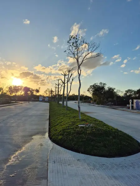 Terreno en venta en Dzitya, Mérida — foto 3 de 5