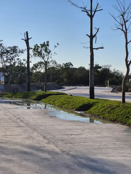Terreno en venta en Dzitya, Mérida — foto 2 de 5
