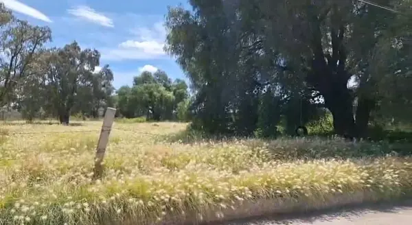 Terreno en venta en Los Aguiluchos, Nextlalpan — foto 2 de 3