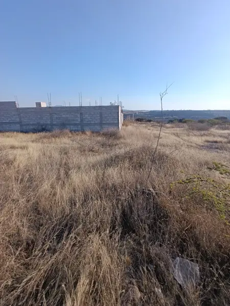 Terreno en venta en La Mora, Apaseo El Alto — foto 3 de 5
