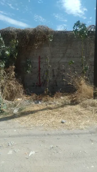Terreno en venta en El Maguey, San Francisco del Rincón — foto 3 de 8