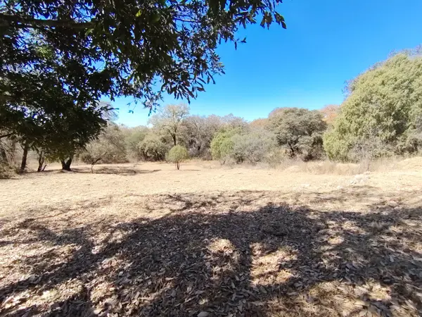 Terreno en venta en Campestre Haras, Amozoc — foto 2 de 11