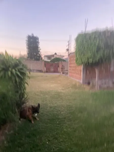Terreno en venta en Paraíso Tlahuica, Ayala — foto 2 de 9