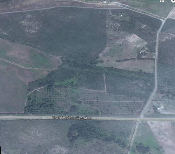 Terreno en venta en Ciudad Cerralvo, Cerralvo — foto 2 de 2