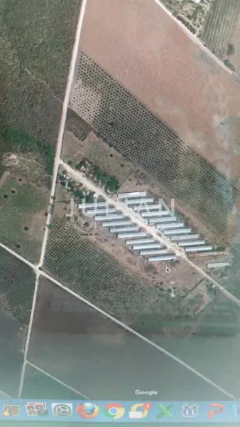 Terreno en venta en Miguel Hidalgo, Montemorelos — foto 3 de 6