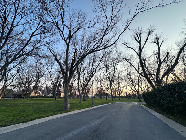 Terreno en venta en San Fernando, Ramos Arizpe — foto 3 de 7