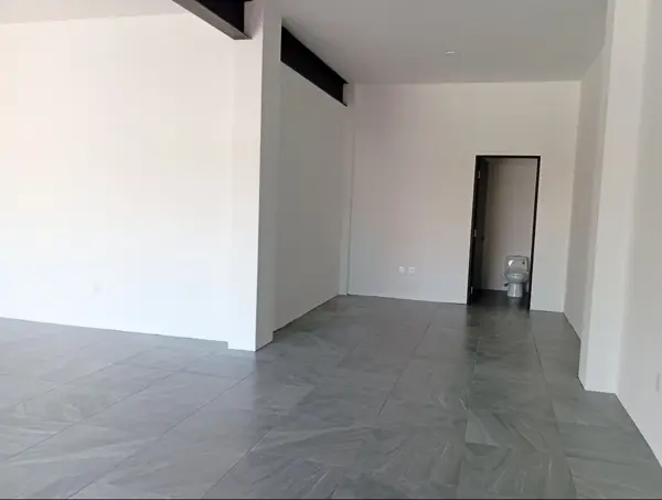 Local en renta en Francisco Murguía El Ranchito, Toluca — foto 3 de 10