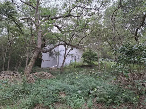Terreno en venta en Colinas de Allende, Allende — foto 2 de 8