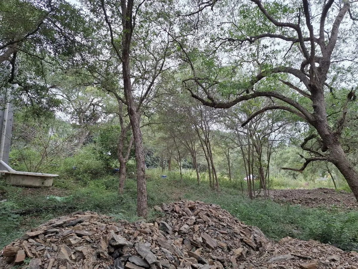 Terreno en venta en Colinas de Allende, Allende — foto 1 de 8