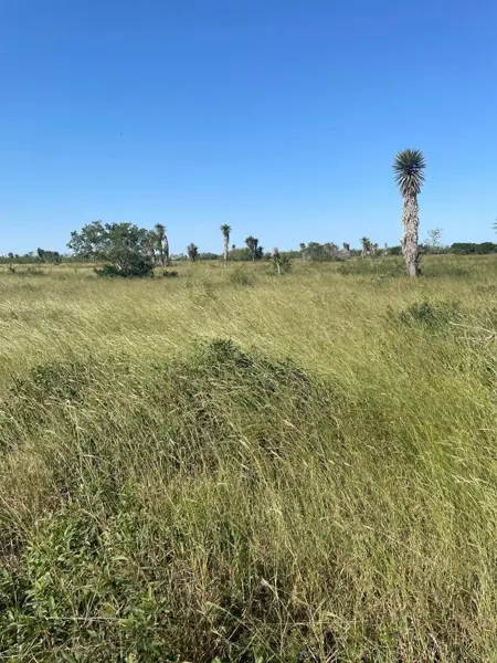 Terreno en venta en Soto la Marina Centro, Soto la Marina — foto 3 de 6