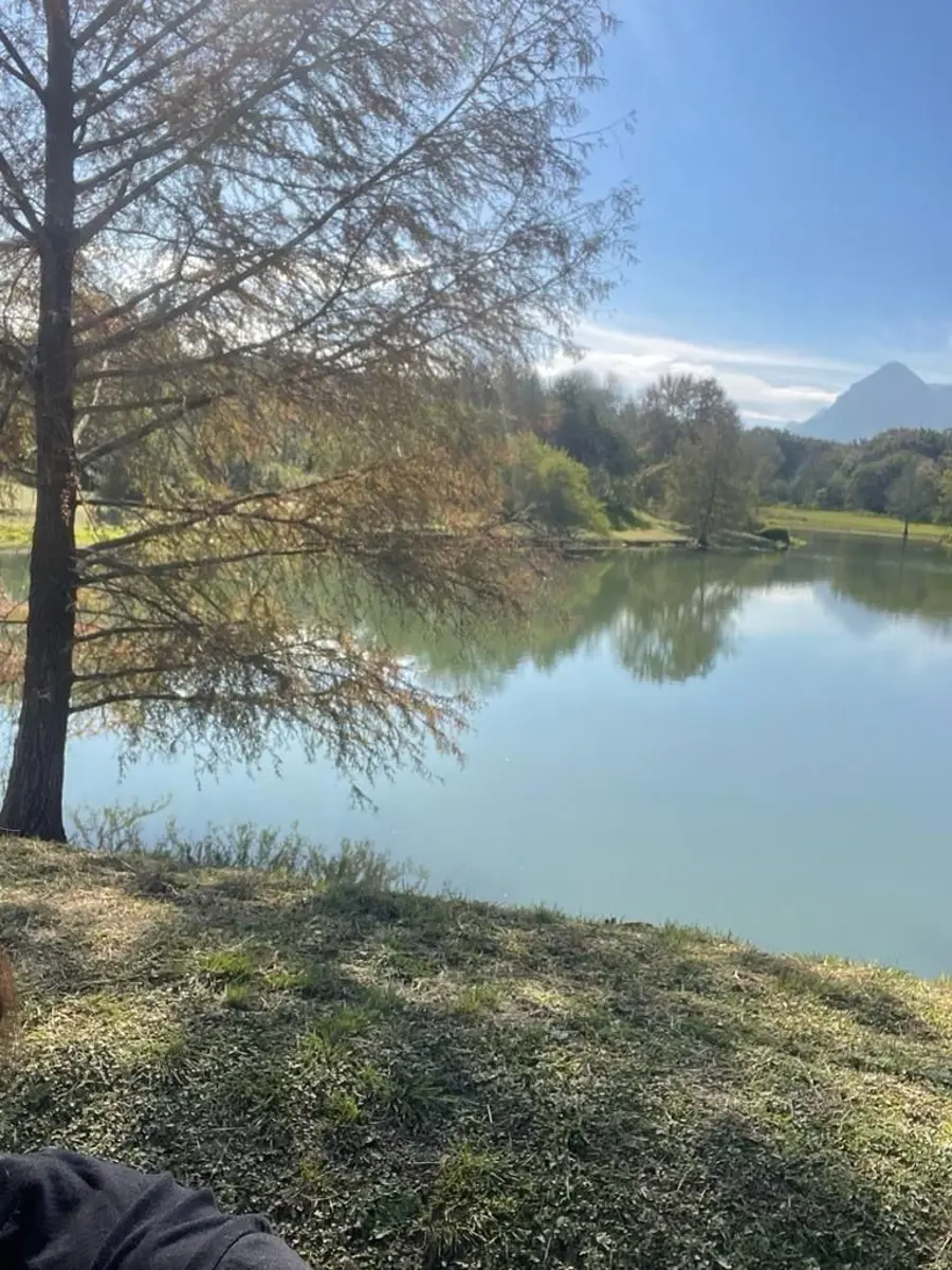Terreno venta Milencinos Montemorelos Nuevo Leon Terreno venta Milencinos Montemorelos Nuevo Leon