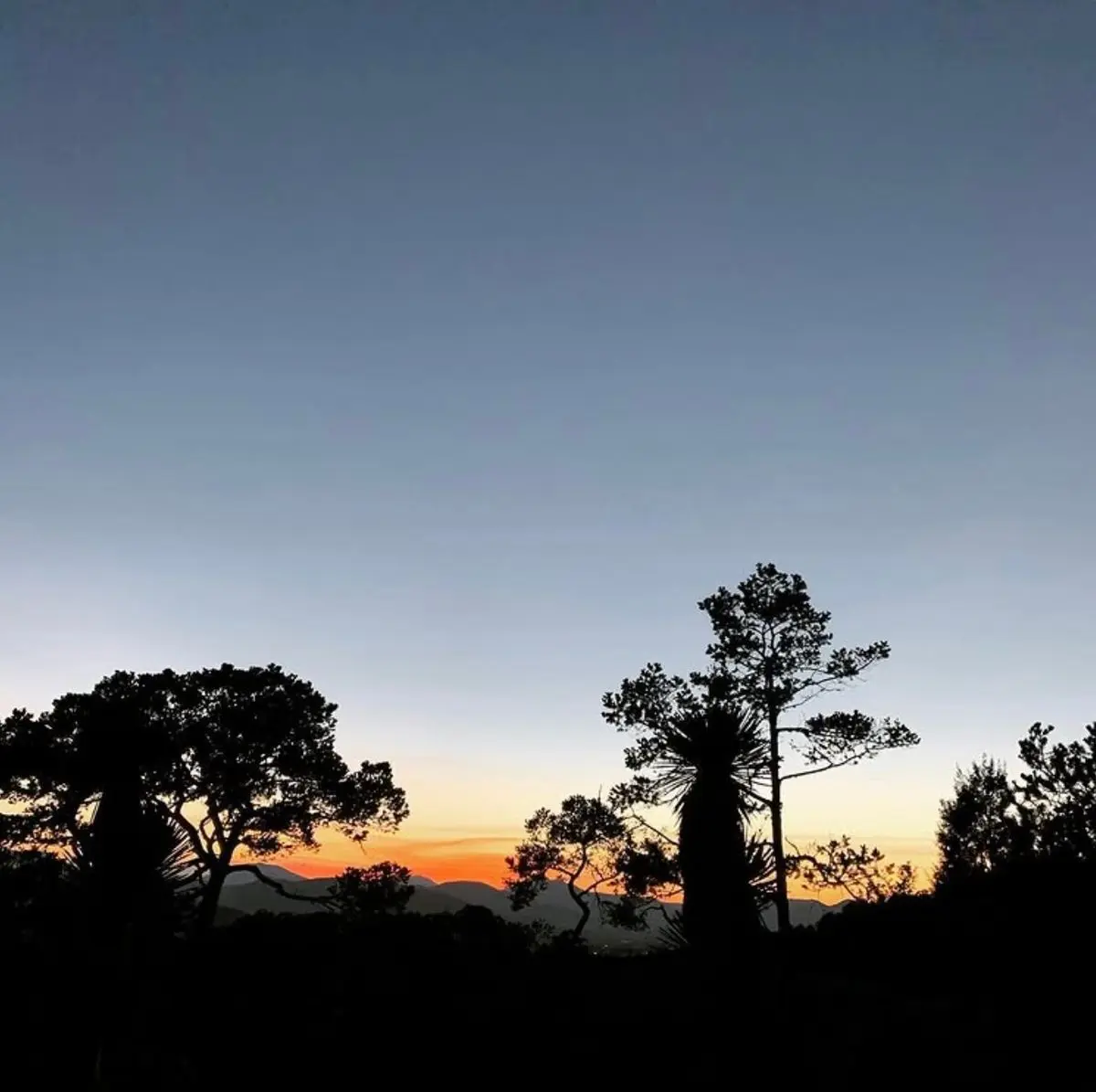 Terreno en venta en San Antonio de las Alazanas, Arteaga — foto 1 de 18