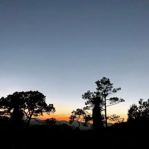 Terreno Venta Arteaga Coahuila Bosque Boreal