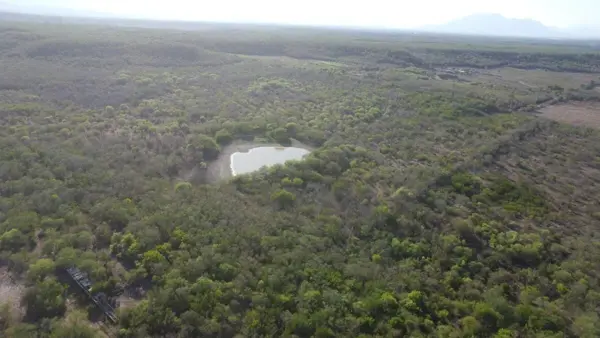 Terreno en venta en La Carroza, Montemorelos — foto 3 de 6