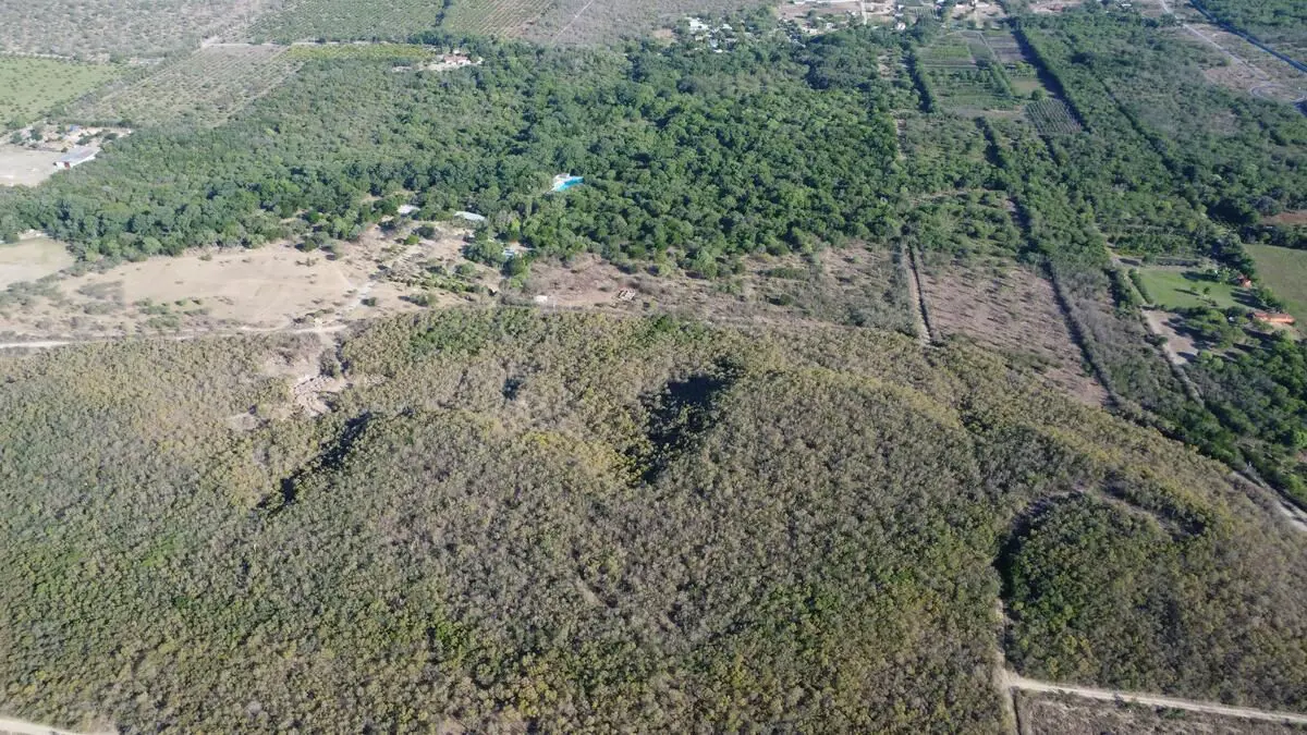 Terreno en venta en La Carroza, Montemorelos — foto 1 de 9