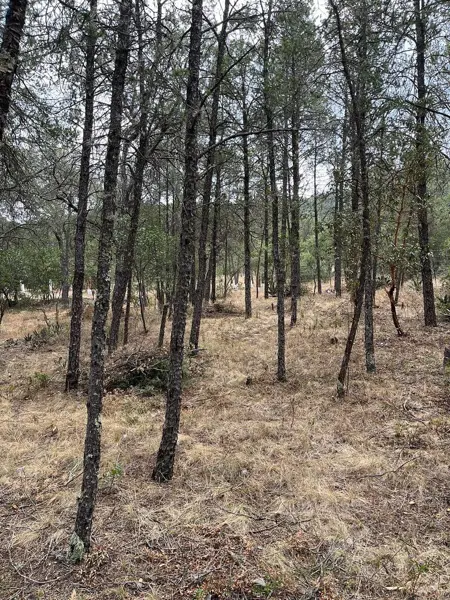 TERRENO CAMPESTRE EN VENTA HUACHICHIL ARTEAGA COAHUILA