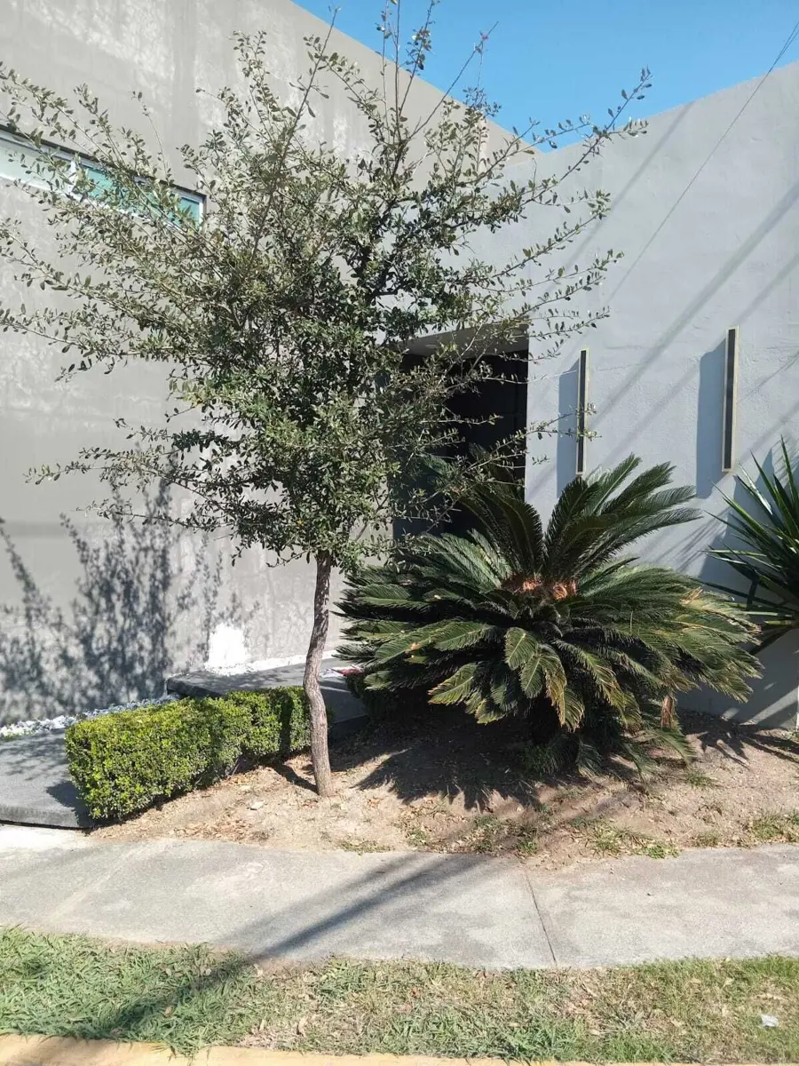 Oficina en venta en Las Torres, Monterrey — foto 1 de 22