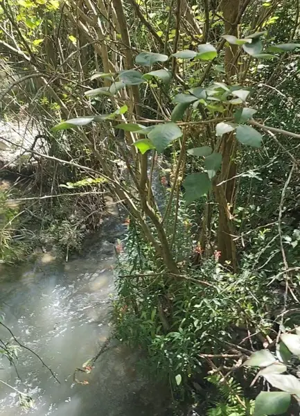 Terreno en venta en San Roque, Juárez — foto 2 de 9
