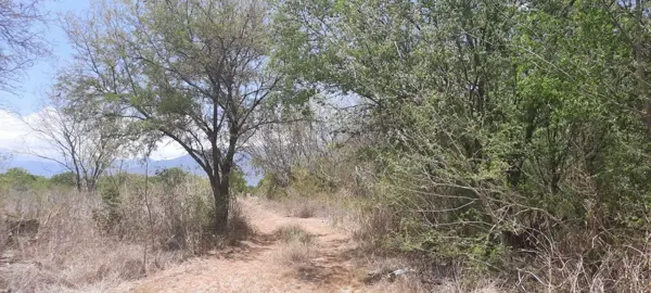 Terreno en venta en Atongo de Abajo, Cadereyta Jiménez — foto 2 de 3