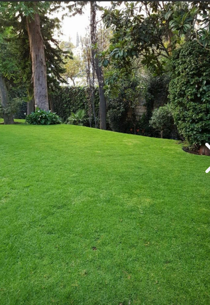 Casa en renta en San Jeronimo Lidice, La Magdalena Contreras — foto 1 de 3