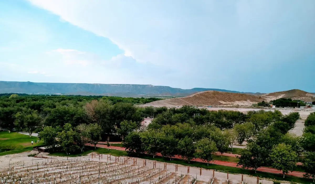 TERRENO EN VENTA EN PARRAS DE LA FUENTE COAHUILA TERRENO EN VENTA EN PARRAS DE LA FUENTE COAHUILA