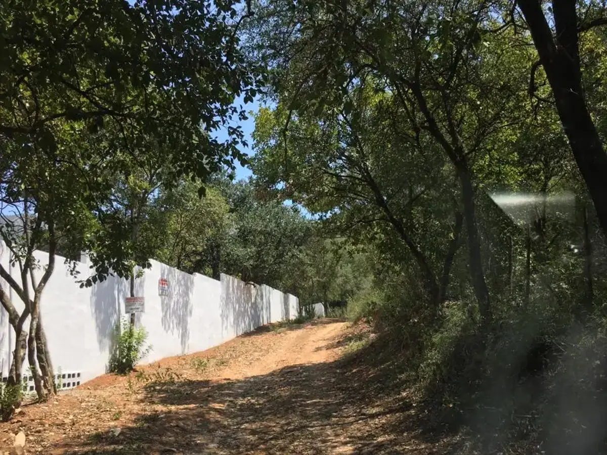 Terreno en venta en Los Rodriguez, Santiago — foto 1 de 18