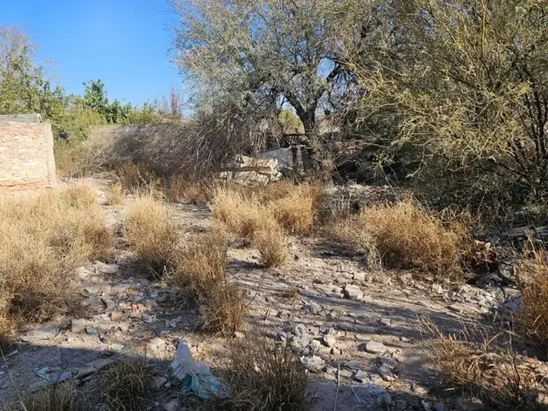 Terreno en venta en 18 de Julio, Lerdo — foto 3 de 9