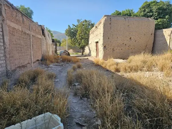 Terreno en venta en 18 de Julio, Lerdo — foto 2 de 9