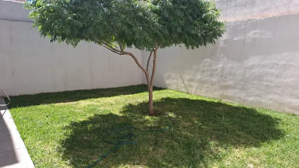 Casa en renta en Villas de la Ibero, Torreón — foto 3 de 34