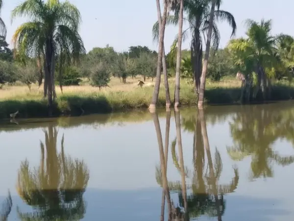 Finca-Rancho en venta en Santa Isabel, Cadereyta Jiménez — foto 2 de 12