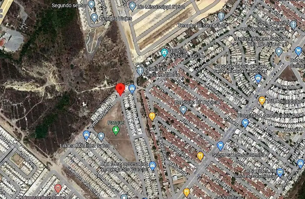 Terreno en venta en Las Lomas, Juárez — foto 1 de 2