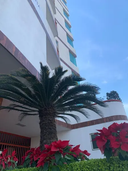 Departamento en renta en El Mirador, Monterrey — foto 2 de 11