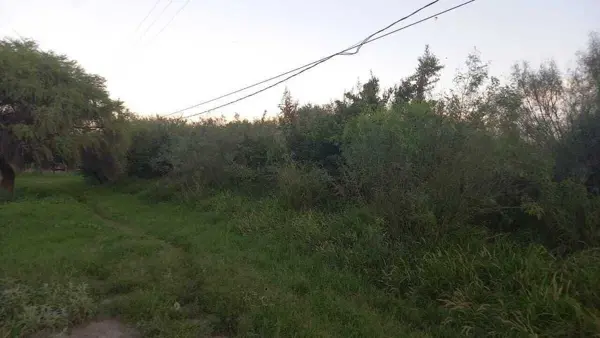 Terreno en venta en Santa Maria Pesqueria, Pesquería — foto 3 de 5