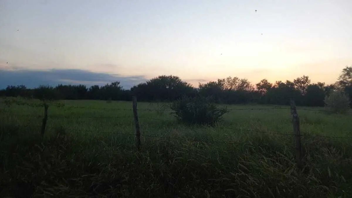 Terreno en venta en Santa Maria Pesqueria, Pesquería — foto 1 de 5