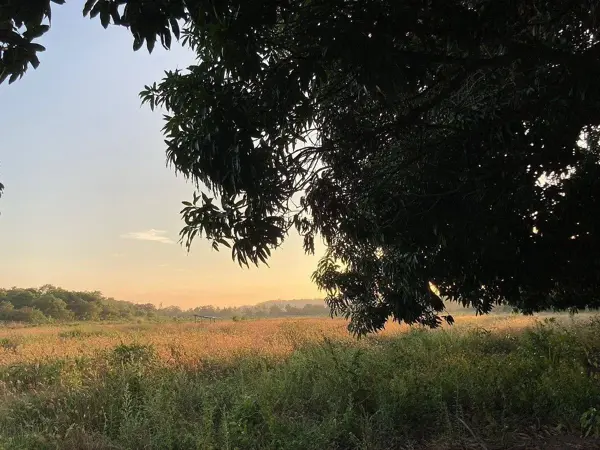 Terreno en venta en Santa Maria Huatulco Centro, Santa María Huatulco — foto 3 de 14