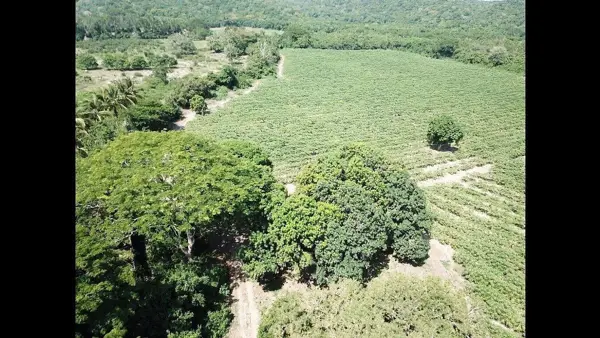 Terreno en venta en Santa Maria Huatulco Centro, Santa María Huatulco — foto 2 de 14