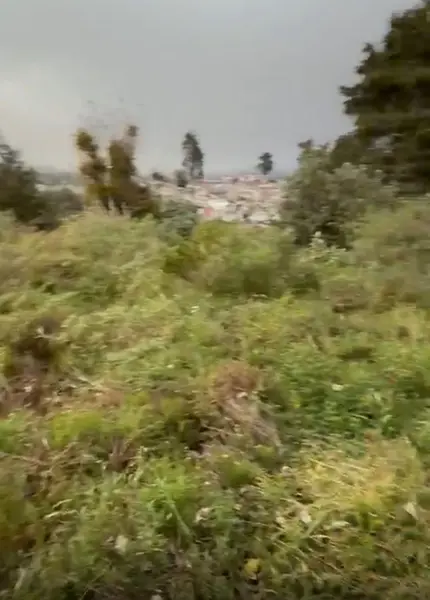 Terreno en venta en Santa María, Mineral del Monte — foto 3 de 16