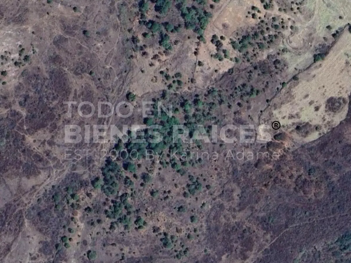 Terreno en venta en Los Timbres, Temascaltepec — foto 1 de 2