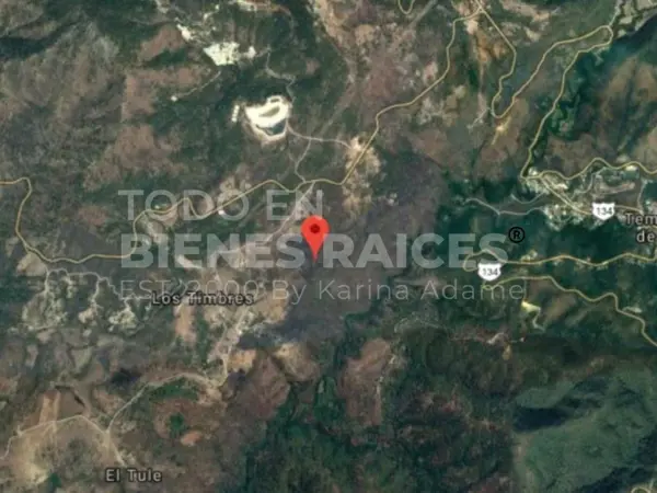 Terreno en venta en Los Timbres, Temascaltepec — foto 2 de 2