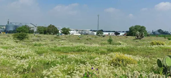 Terreno en venta en Los Reyes Acozac, Tecámac — foto 3 de 10