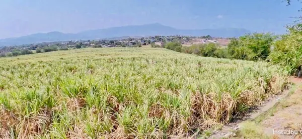 Terreno en venta en Tehuixtla, Jojutla — foto 2 de 4