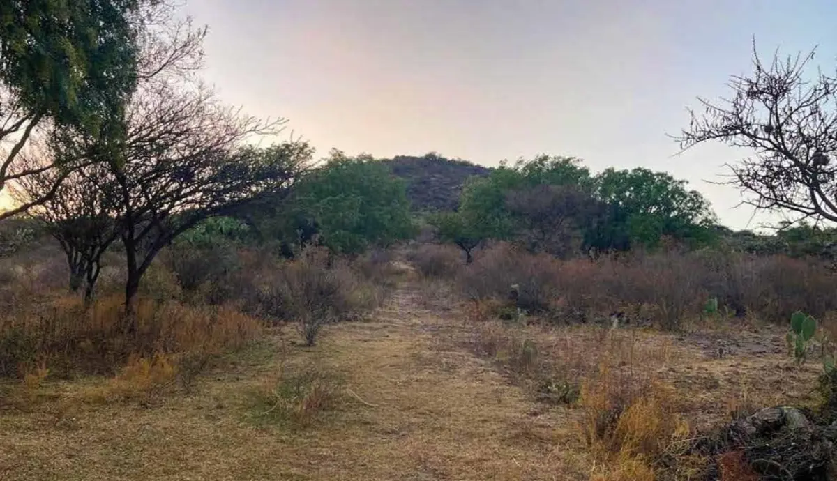 Terreno en venta en Ixtlahuaca, San Martín de las Pirámides — foto 1 de 5