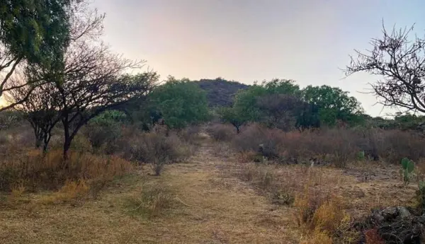 TERRENO EN VENTA, SAN MARTIN DE LAS PIRAMIDES, ESTADO DE MEXICO